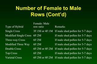 Number of Female to Male
Rows (Cont’d)
Type of Hybrid
Female: Male
row ratio Remarks
Single Cross 3F:1M or 4F:1M If male shed pollen for 5-7 days
Modified Single Cross 6F:2M If male shed pollen for 5-7 days
Three-way Cross 6F:2M If male shed pollen for 5-7 days
Modified Three Way 6F:2M If male shed pollen for 5-7 days
Double Cross 6F:2M or 8F:2M If male shed pollen for 5-7 days
Top Cross 6F:2M If male shed pollen for 5-7 days
Varietal Cross 6F:2M or 8F:2M If male shed pollen for 5-7 days
 