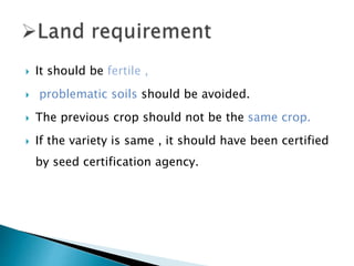  It should be fertile ,
 problematic soils should be avoided.
 The previous crop should not be the same crop.
 If the variety is same , it should have been certified
by seed certification agency.
 