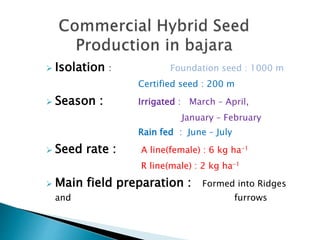  Isolation : Foundation seed : 1000 m
Certified seed : 200 m
 Season : Irrigated : March – April,
January – February
Rain fed : June – July
 Seed rate : A line(female) : 6 kg ha-1
R line(male) : 2 kg ha-1
 Main field preparation : Formed into Ridges
and furrows
 