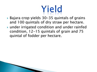  Bajara crop yields 30-35 quintals of grains
and 100 quintals of dry straw per hectare.
 under irrigated condition and under rainfed
condition, 12-15 quintals of grain and 75
quintal of fodder per hectare.
 