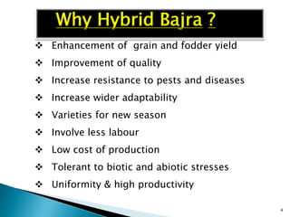  Enhancement of grain and fodder yield
 Improvement of quality
 Increase resistance to pests and diseases
 Increase wider adaptability
 Varieties for new season
 Involve less labour
 Low cost of production
 Tolerant to biotic and abiotic stresses
 Uniformity & high productivity
4
Why Hybrid Bajra ?
 