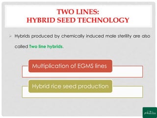 Genetic Engineering of Male Sterility for Hybrid Seed Production | PDF