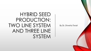 HYBRID SEED
PRODUCTION:
TWO LINE SYSTEM
AND THREE LINE
SYSTEM
By Dr. Shweta Tiwari
 