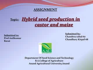 ASSIGNMENT
Topic:
Department Of Seed Science and Technology
B.A.College of Agriculture
Anand Agricultural University,Anand
Submitted to:
Prof.Anilkumar
Ravat
Submitted by:
Chandera rahul-67
Chaudhary Kirpal-68
 