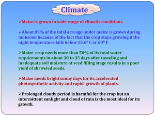  Physiological maturity of the crop