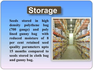 Seed production technology,[object Object]