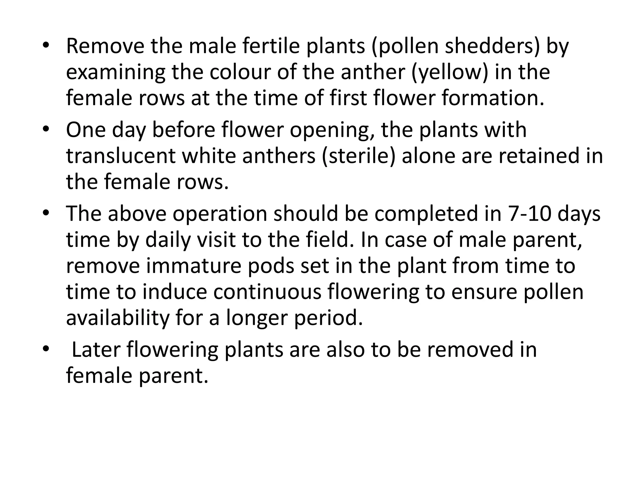• Remove the male fertile plants (pollen shedders) by
examining the colour of the anther (yellow) in the
female rows at the time of first flower formation.
• One day before flower opening, the plants with
translucent white anthers (sterile) alone are retained in
the female rows.
• The above operation should be completed in 7-10 days
time by daily visit to the field. In case of male parent,
remove immature pods set in the plant from time to
time to induce continuous flowering to ensure pollen
availability for a longer period.
• Later flowering plants are also to be removed in
female parent.
 