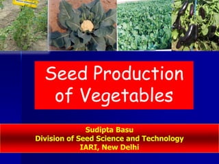 Seed Production
of Vegetables
Sudipta Basu
Division of Seed Science and Technology
IARI, New Delhi
 