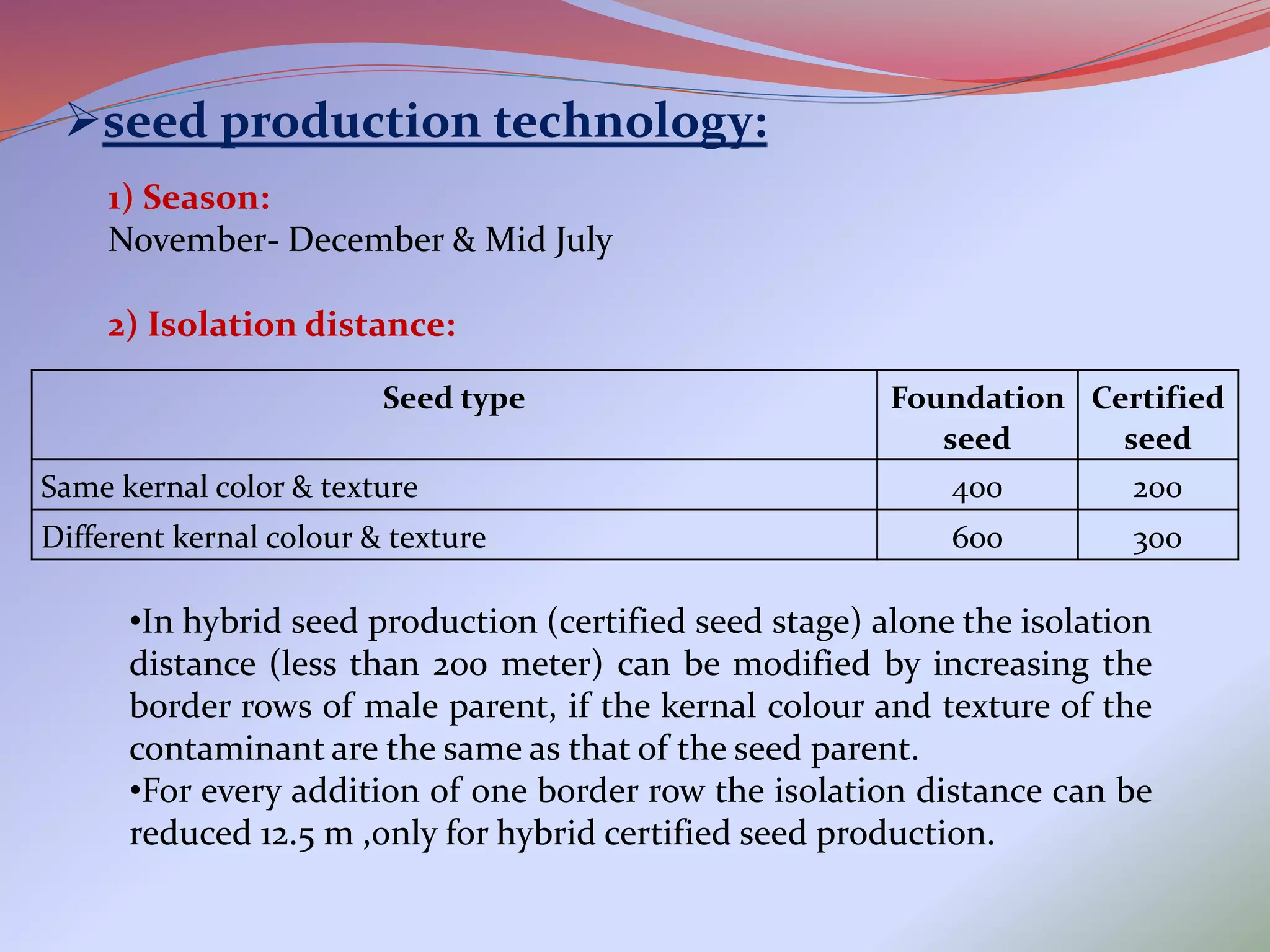 Hybrid seed production of castor and maize | PPTX
