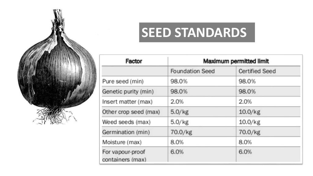 Hybrid seed production of onion