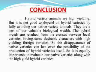 CONCLUSION 
Hybrid variety animals are high yielding. 
But it is not good to depend on hybrid varieties by 
fully avoiding our native variety animals. They are a 
part of our valuable biological wealth. The hybrid 
breeds are resulted from the crosses between local 
varieties having some desirable characters with high 
yielding foreign varieties. So the disappearance of 
native varieties can lost even the possibility of the 
production of hybrid varieties itself. So it is equally 
importance to maintain our native varieties along with 
the high yield hybrid varieties. 
 