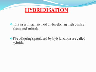 HYBRIDISATION 
 It is an artificial method of developing high quality 
plants and animals. 
The offspring's produced by hybridization are called 
hybrids. 
 