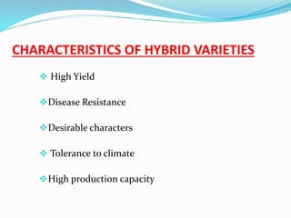 CHARACTERISTICS OF HYBRID VARIETIES 
 High Yield 
Disease Resistance 
Desirable characters 
 Tolerance to climate 
High production capacity 
 