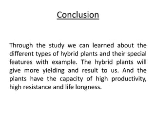 Conclusion 
Through the study we can learned about the 
different types of hybrid plants and their special 
features with example. The hybrid plants will 
give more yielding and result to us. And the 
plants have the capacity of high productivity, 
high resistance and life longness. 
 