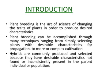 INTRODUCTION 
• Plant breeding is the art of science of changing 
the traits of plants in order to produce desired 
characteristics. 
• Plant breeding can be accomplished through 
many techniques ranging from simply selecting 
plants with desirable characteristics for 
propagation, to more or complex cultivation. 
• Hybrids are commonly produced and selected 
because they have desirable characteristics not 
found or inconsistently present in the parent 
individual or population. 
 