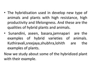 • The hybridisation used in develop new type of 
animals and plants with high resistance, high 
productivity and lifelongness. And these are the 
qualities of hybrid plants and animals. 
• Sunandini, aseen, basara,jamnapari are the 
examples of hybrid varieties of animals. 
Kuthiravali,sreejaya,shubhra,lohith are the 
examples of plants. 
Now we study about some of the hybridized plant 
with their example. 
 