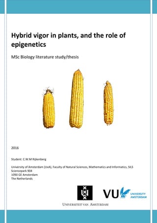 Hybrid vigor in plants, and the role of
epigenetics
MSc Biology literature study/thesis
2016
Student: C.W.M Rijkenberg
University of Amsterdam (UvA), Faculty of Natural Sciences, Mathematics and Informatics, SILS
Sciencepark 904
1090 GE Amsterdam
The Netherlands
 