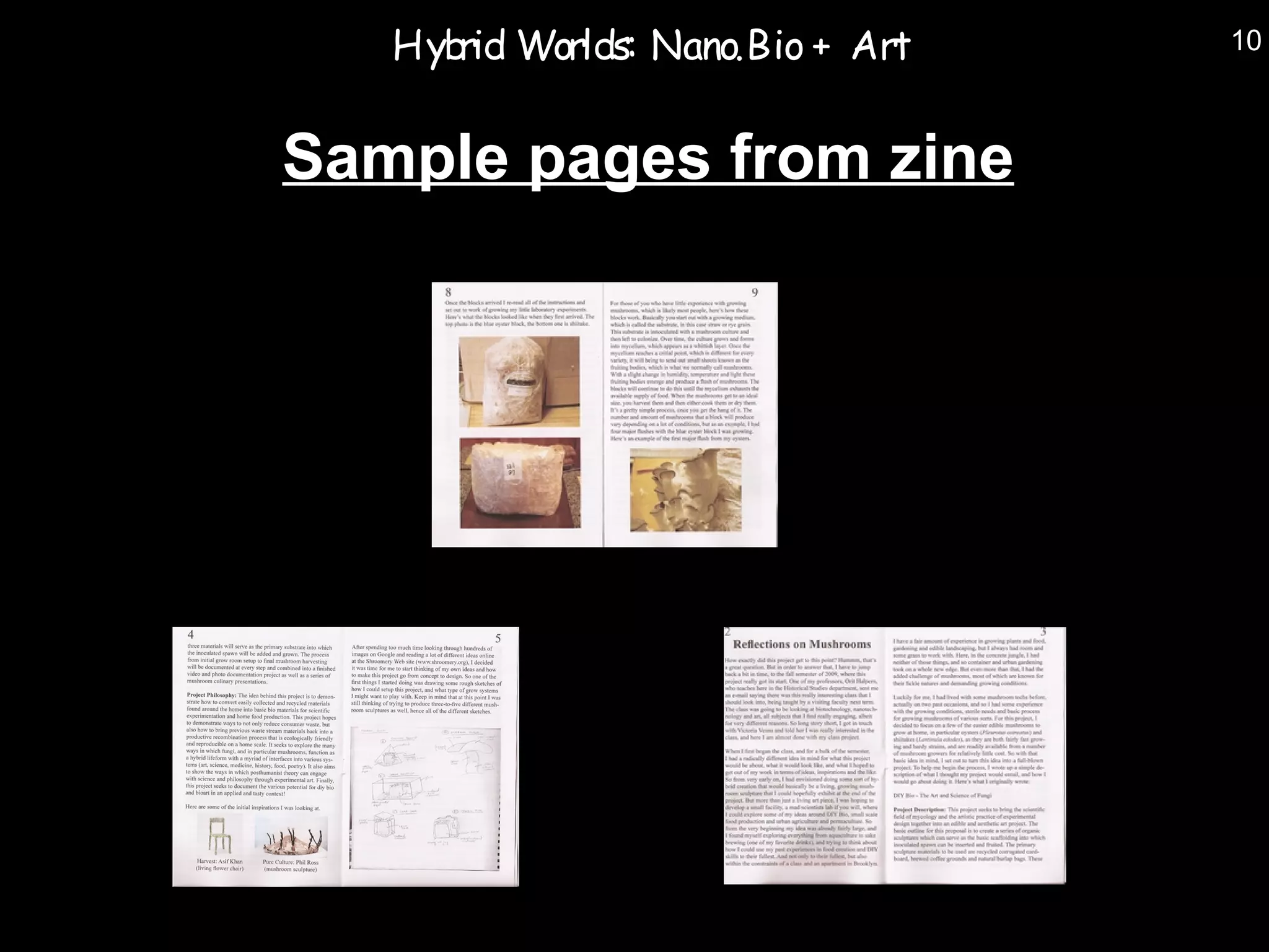 Hyb Worlds: Nano.Bio + Art
      rid                       10



Sample pages from zine
 