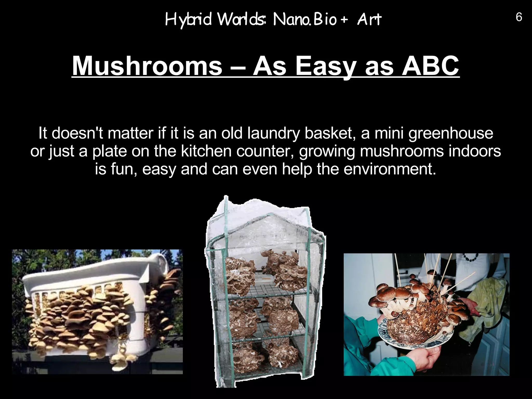 Hyb Worlds: Nano.Bio + Art
                      rid                                              6



     Mushrooms – As Easy as ABC

 It doesn't matter if it is an old laundry basket, a mini greenhouse
or just a plate on the kitchen counter, growing mushrooms indoors
          is fun, easy and can even help the environment.
 
