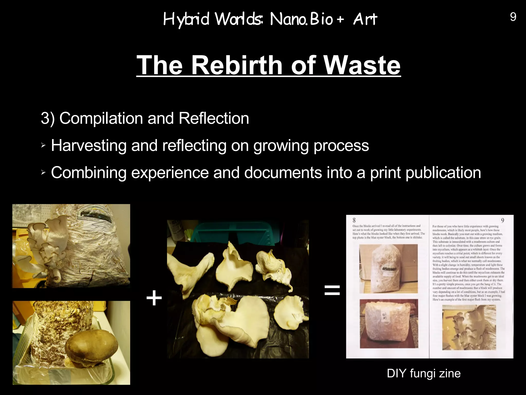 Hyb Worlds: Nano.Bio + Art
                      rid                                           9



               The Rebirth of Waste
3) Compilation and Reflection
➢   Harvesting and reflecting on growing process
➢   Combining experience and documents into a print publication




                +                        =

                                                   DIY fungi zine
 