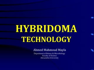 HYBRIDOMA
TECHNOLOGY
Ahmed Mahmoud Mayla
Department of Botany & Microbiology
Faculty of Science
Alexandria University
 