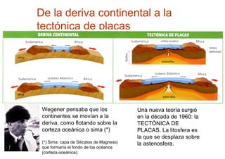 De la deriva continental a la
tectónica de placas
Wegener pensaba que los
continentes se movían a la
deriva, como flotando sobre la
corteza oceánica o sima (*)
(*) Sima: capa de Silicatos de Magnesio
que formaría el fondo de los océanos
(corteza oceánica).
Una nueva teoría surgió
en la década de 1960: la
TECTÓNICA DE
PLACAS. La litosfera es
la que se desplaza sobre
la astenosfera.
 