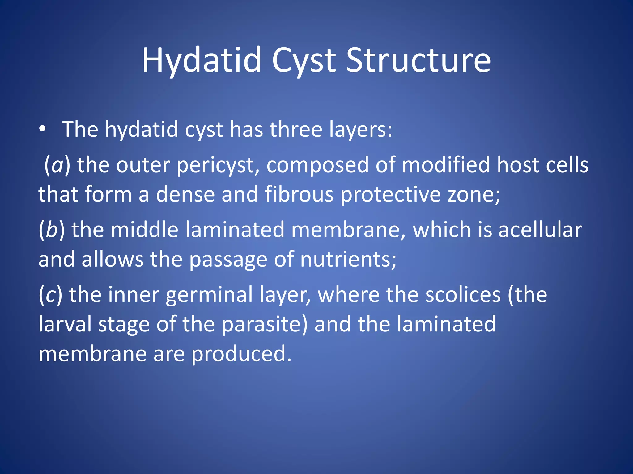 Hydatid cyst | PPTX