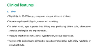 Clinical features
a. Liver
Right lobe in 60-85% cases; symptoms unusual with cyst < 10 cm.
Hepatomegaly a/w RUQ pain, nausea and vomitting.
In 1/4th cases, cyst ruptures into biliary tree producing biliary colic, obstructive
jaundice, cholangitis and or pancreatitis.
Pressure effect: Cholestatis, portal hypertension, venous obstruction.
Rupture into peritoneum: peritonitis; transdiaphramatically: pulmonary hydatosis or
bronchial fistula.
 