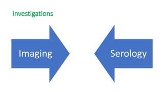Investigations
Imaging Serology
 
