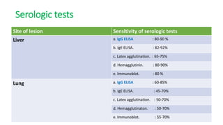 Serologic tests
Site of lesion Sensitivity of serologic tests
Liver a. IgG ELISA : 80-90 %
b. IgE ELISA. : 82-92%
c. Latex agglutination. : 65-75%
d. Hemagglutinin. : 80-90%
e. Immunoblot. : 80 %
Lung a. IgG ELISA : 60-85%
b. IgE ELISA. : 45-70%
c. Latex agglutination. : 50-70%
d. Hemagglutinaton. : 50-70%
e. Immunoblot. : 55-70%
 