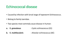 Echinococcal disease
• Caused by infection with larval stage of tapeworm Echinococcus.
• Belong to family taenidae.
• Two species most commoly cause disease in human:
a. E. granulosus : Cystic echinococcus (CE)
b. E. multilocularis : Alveolar echinococcus (AE)
 
