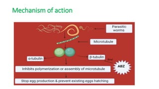 Mechanism of action
 