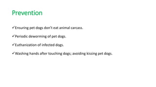 Prevention
Ensuring pet dogs don’t eat animal carcass.
Periodic deworming of pet dogs.
Euthanization of infected dogs.
Washing hands after touching dogs; avoiding kissing pet dogs.
 