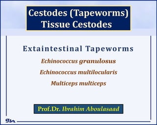 Extaintestinal Tapeworms
Echinococcus granulosus
Echinococcus multilocularis
Multiceps multiceps
Cestodes (Tapeworms)
Tissue Cestodes
Prof.Dr. Ibrahim Aboulasaad
 