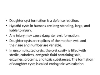 • Daughter cyst formation is a defense reaction.
• Hydatid cysts in humans are long-standing, large, and
liable to injury.
• Any injury may cause daughter cyst formation.
• Daughter cysts are replicas of the mother cyst, and
their size and number are variable.
• In uncomplicated cysts, the cyst cavity is filled with
sterile, colorless, antigenic fluid containing salt,
enzymes, proteins, and toxic substances. The formation
of daughter cysts is called endogenic vesiculation
 