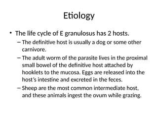 Etiology
• The life cycle of E granulosus has 2 hosts.
– The definitive host is usually a dog or some other
carnivore.
– The adult worm of the parasite lives in the proximal
small bowel of the definitive host attached by
hooklets to the mucosa. Eggs are released into the
host’s intestine and excreted in the feces.
– Sheep are the most common intermediate host,
and these animals ingest the ovum while grazing.
 