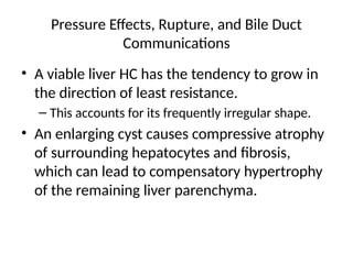 Pressure Effects, Rupture, and Bile Duct
Communications
• A viable liver HC has the tendency to grow in
the direction of least resistance.
– This accounts for its frequently irregular shape.
• An enlarging cyst causes compressive atrophy
of surrounding hepatocytes and fibrosis,
which can lead to compensatory hypertrophy
of the remaining liver parenchyma.
 