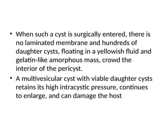 • When such a cyst is surgically entered, there is
no laminated membrane and hundreds of
daughter cysts, floating in a yellowish fluid and
gelatin-like amorphous mass, crowd the
interior of the pericyst.
• A multivesicular cyst with viable daughter cysts
retains its high intracystic pressure, continues
to enlarge, and can damage the host
 
