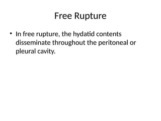 Free Rupture
• In free rupture, the hydatid contents
disseminate throughout the peritoneal or
pleural cavity.
 