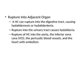 • Rupture Into Adjacent Organ
– A HC can rupture into the digestive tract, causing
hydatidemesis or hydatidenteria.
– Rupture into the urinary tract causes hydatiduria.
– Rupture of HC into the aorta, the inferior vena
cava (VCI), the pericystic blood vessels, and the
heart with embolism.
 