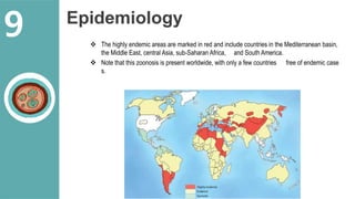 Epidemiology
 The highly endemic areas are marked in red and include countries in the Mediterranean basin,
the Middle East, central Asia, sub-Saharan Africa, and South America.
 Note that this zoonosis is present worldwide, with only a few countries free of endemic case
s.
9
 
