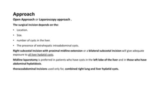 Hydatid cyst disease of the liver الدكتور طارق المنيزل | PPTX