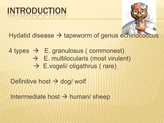 INTRODUCTION
Hydatid disease  tapeworm of genus echinococcus
4 types  E. granulosus ( commonest)
 E. multilocularis (most virulent)
 E.vogeli/ oligathrus ( rare)
Definitive host  dog/ wolf
Intermediate host  human/ sheep
 