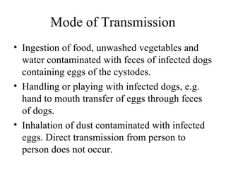 Mode of Transmission
• Ingestion of food, unwashed vegetables and
water contaminated with feces of infected dogs
containing eggs of the cystodes.
• Handling or playing with infected dogs, e.g.
hand to mouth transfer of eggs through feces
of dogs.
• Inhalation of dust contaminated with infected
eggs. Direct transmission from person to
person does not occur.
 