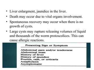 • Liver enlargment, jaundice in the liver.
• Death may occur due to vital organs involvement.
• Spontaneous recovery may occur when there is no
growth of cysts.
• Large cysts may rupture releasing volumes of liquid
and thousands of the worm protoscolices. This can
cause allergic reactions.
 