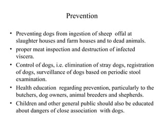 Prevention
• Preventing dogs from ingestion of sheep offal at
slaughter houses and farm houses and to dead animals.
• proper meat inspection and destruction of infected
viscera.
• Control of dogs, i.e. elimination of stray dogs, registration
of dogs, surveillance of dogs based on periodic stool
examination.
• Health education regarding prevention, particularly to the
butchers, dog owners, animal breeders and shepherds.
• Children and other general public should also be educated
about dangers of close association with dogs.
 