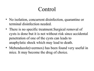 Control
• No isolation, concurrent disinfection, quarantine or
terminal disinfection needed.
• There is no specific treatment.Surgical removal of
cysts is done but it is not without risk since accidental
penetration of one of the cysts can leads to
anaphylatic shock which may lead to death.
• Mebendazole(veermox) has been found very useful in
mice. It may become the drug of choice.
 