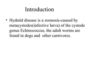 Introduction
• Hydatid disease is a zoonosis-caused by
metacystodes(infective larva) of the cystode
genus Echinococcus, the adult worms are
found in dogs and other carnivores.
 