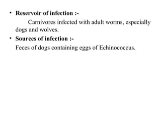 • Reservoir of infection :-
Carnivores infected with adult worms, especially
dogs and wolves.
• Sources of infection :-
Feces of dogs containing eggs of Echinococcus.
 