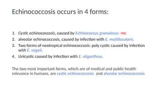 Comprehensive Overview of Human Echinococcosis: History, Life Cycle ...